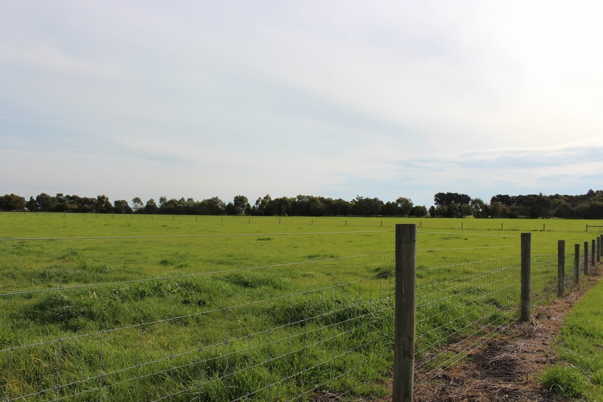 35 Meredith Park Road, Irrewarra, VIC, Irrewarra - Thumbnail 6