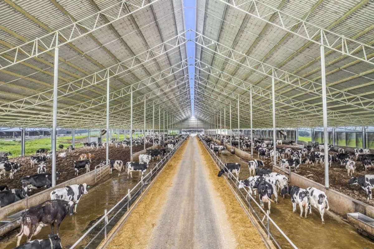 520 Centre Road, Simpson, VIC, Simpson - Thumbnail 2