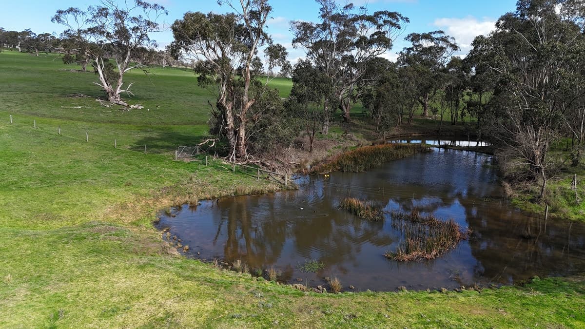 312 Yeo Yeodene Road, Yeodene, VIC, Yeodene - Thumbnail 4