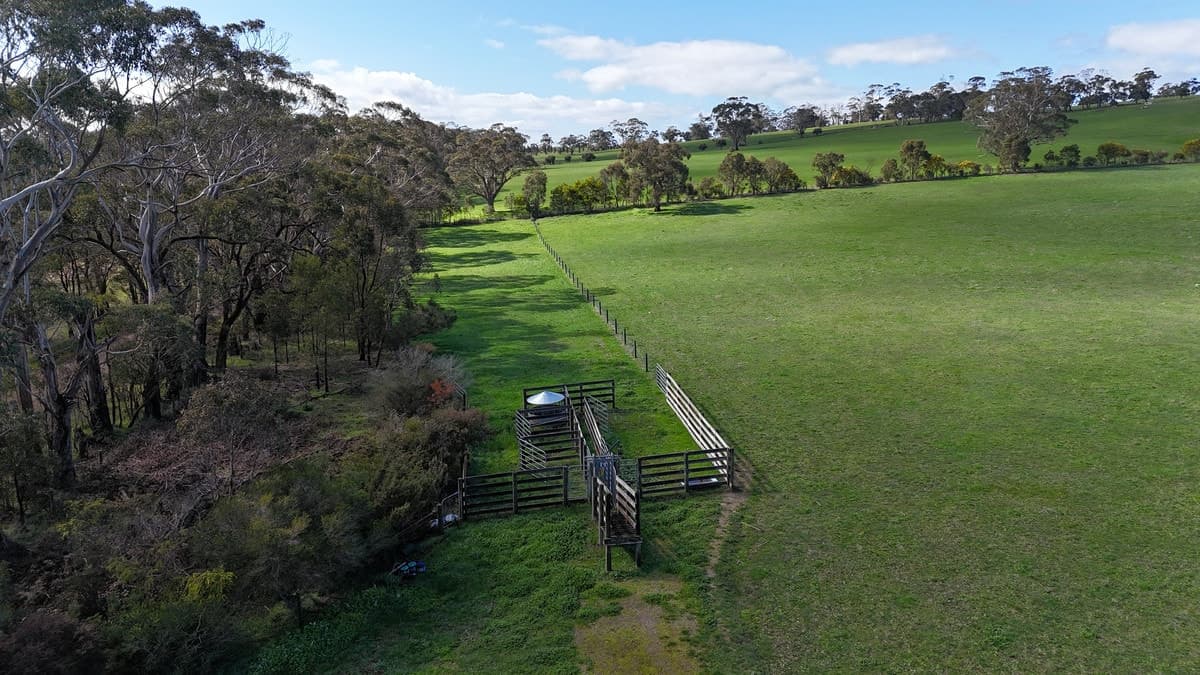 312 Yeo Yeodene Road, Yeodene, VIC, Yeodene - Thumbnail 7