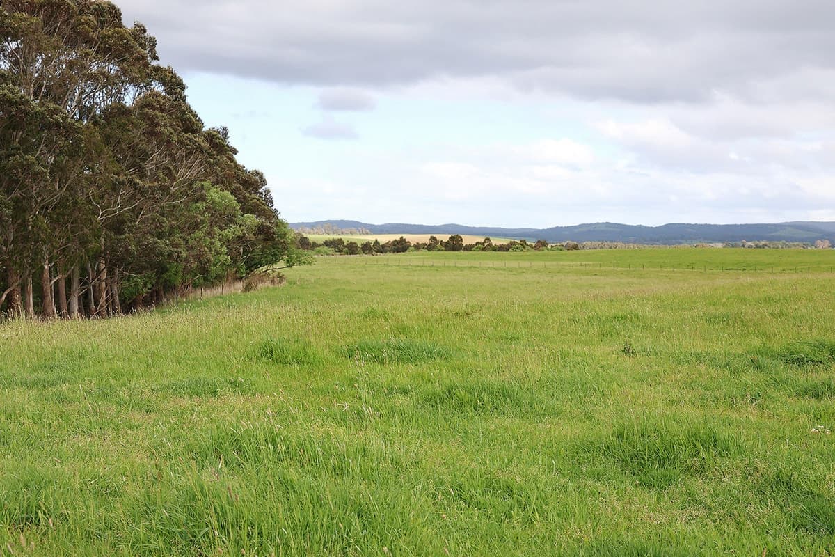 615 Rifle Butts Road, Birregurra, VIC, Birregurra - Thumbnail 5