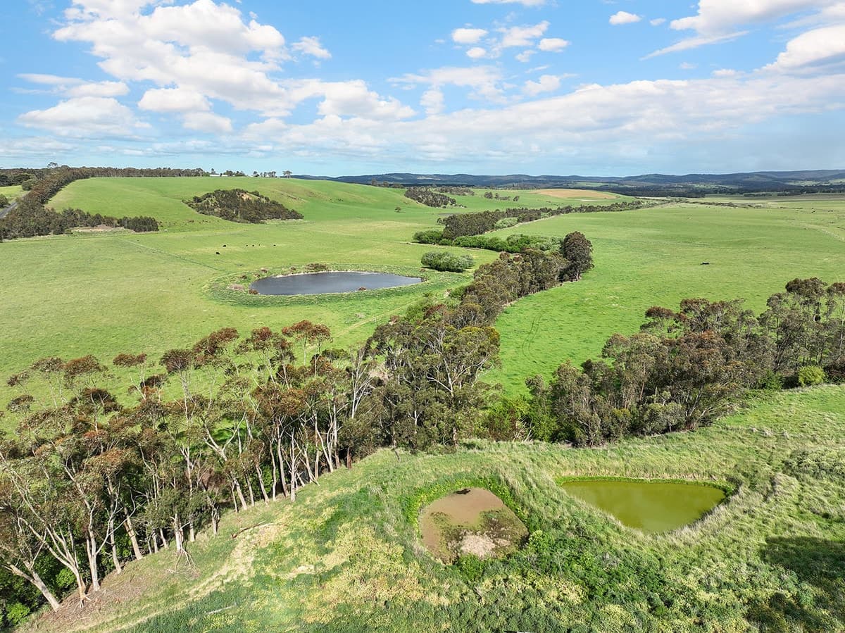 615 Rifle Butts Road, Birregurra, VIC, Birregurra - Thumbnail 8