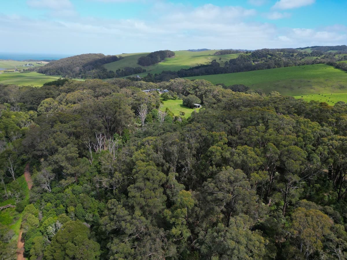 185 Red Johanna Road, Johanna, VIC, Johanna - Image 1