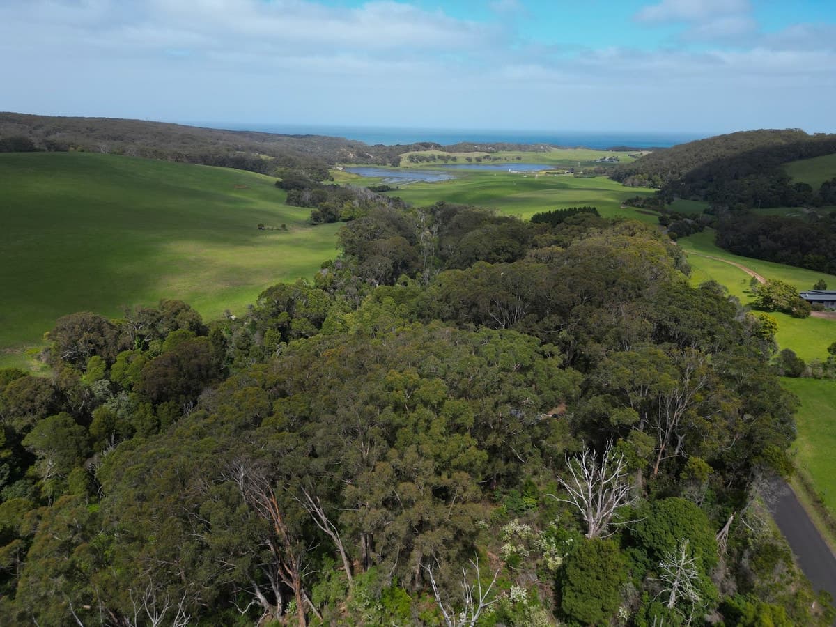 185 Red Johanna Road, Johanna, VIC, Johanna - Thumbnail 2