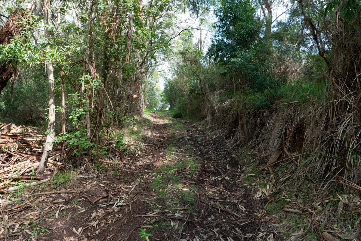 185 Red Johanna Road, Johanna, VIC, Johanna - Thumbnail 4