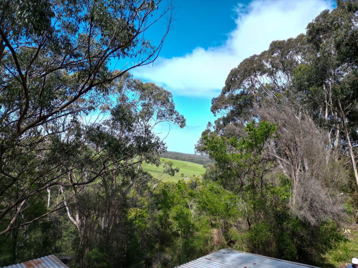 185 Red Johanna Road, Johanna, VIC, Johanna - Thumbnail 5