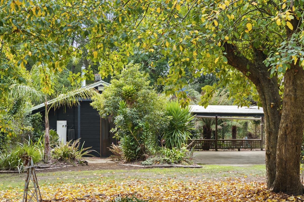 2630 Colac - Forrest Road, Forrest, VIC, Forrest - Thumbnail 3