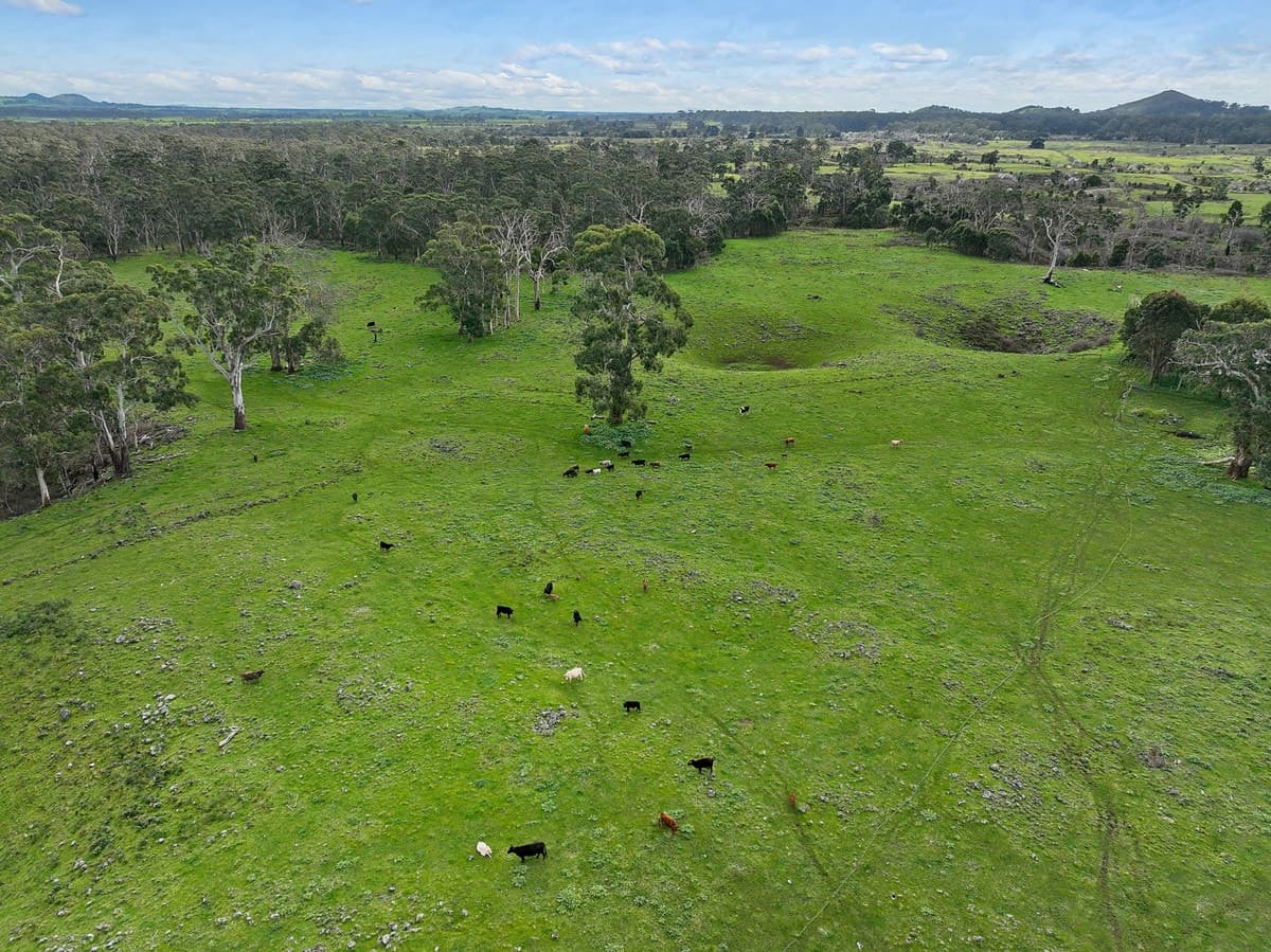 190 Scoullers Road, Stonyford, VIC, Stonyford - Thumbnail 2