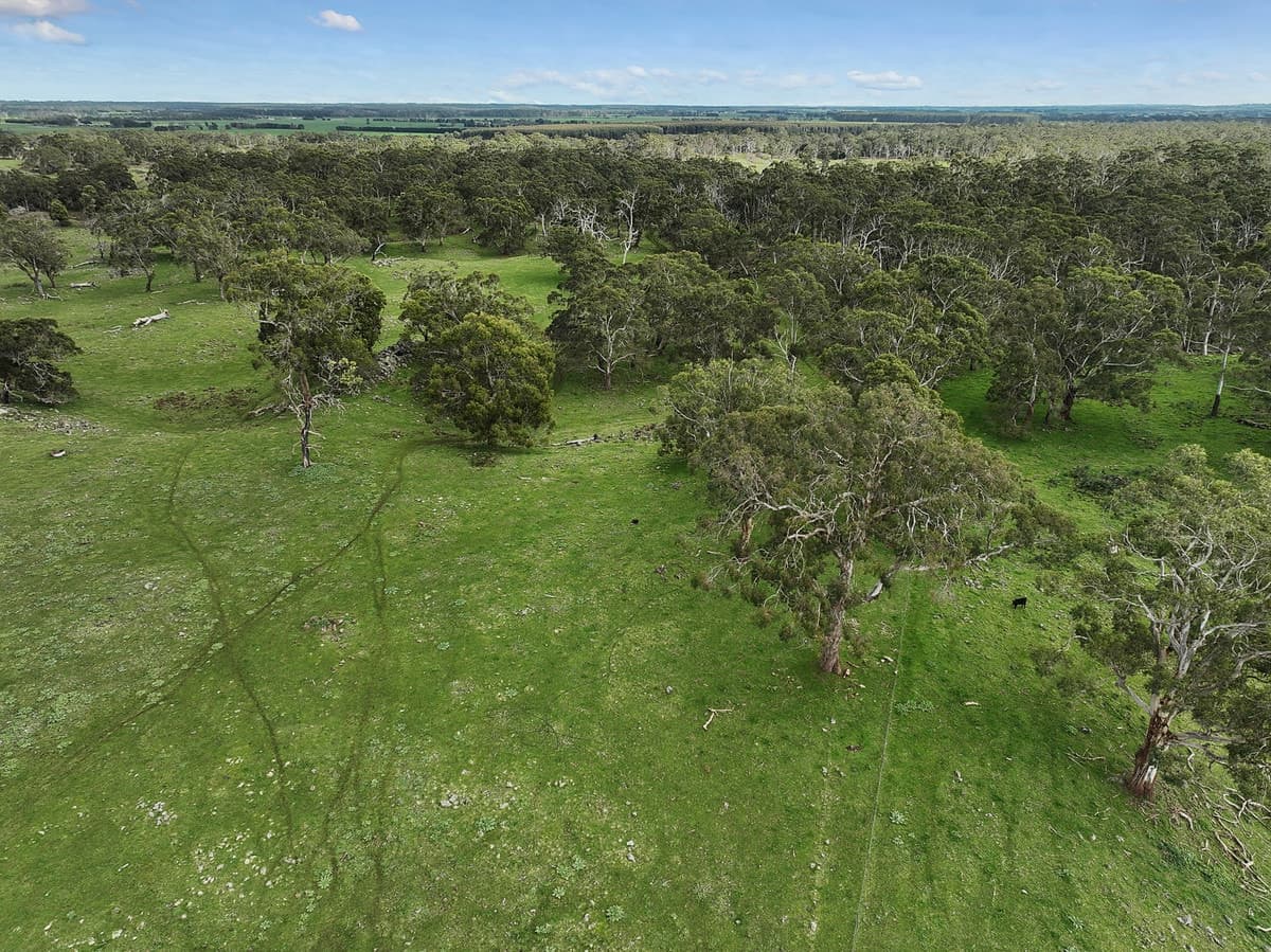 190 Scoullers Road, Stonyford, VIC, Stonyford - Thumbnail 4