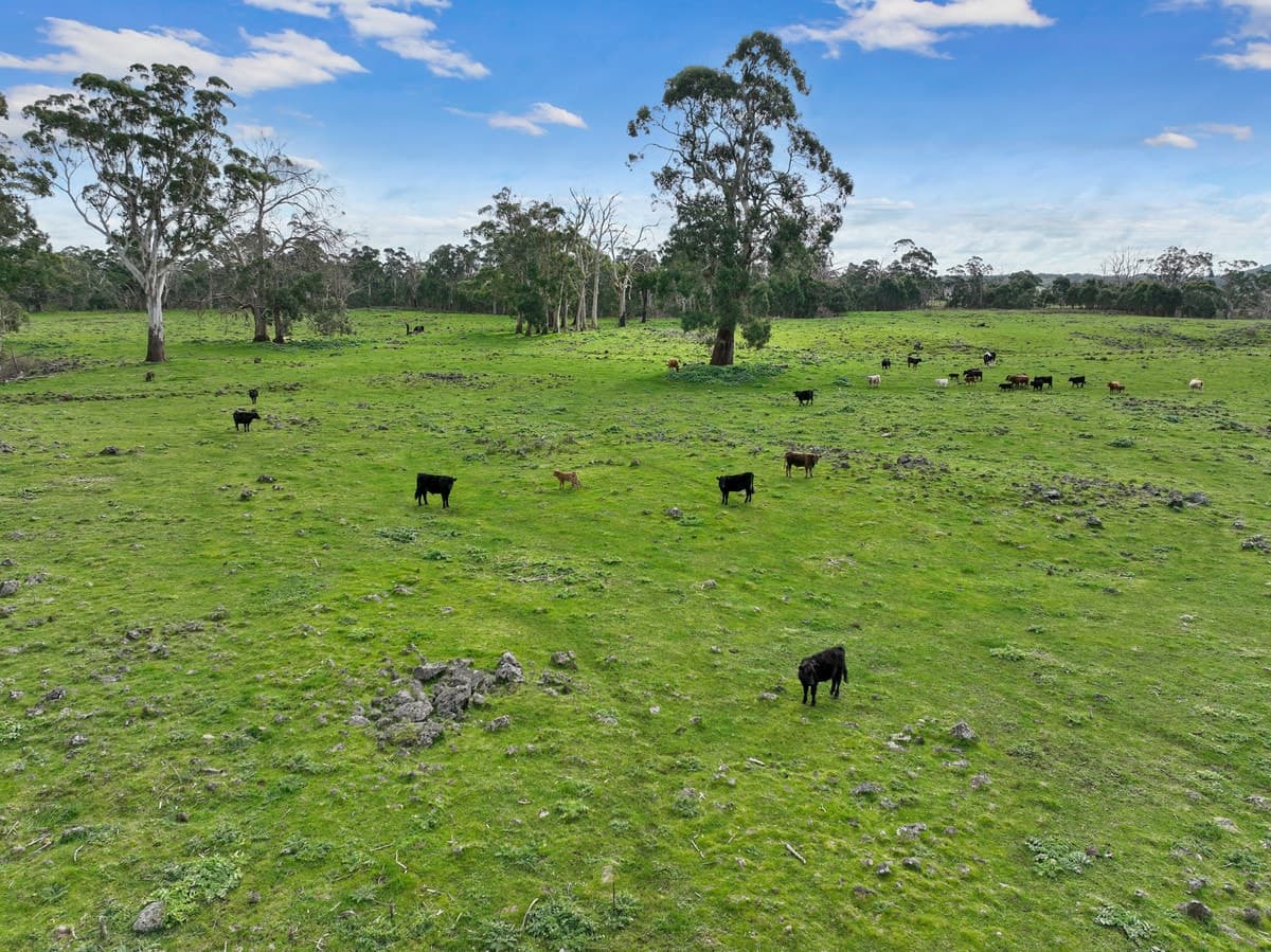 190 Scoullers Road, Stonyford, VIC, Stonyford - Thumbnail 6