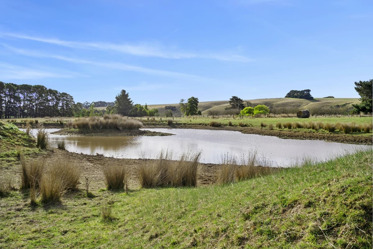 45 Middle Murroon Road, Murroon, VIC, Murroon - Thumbnail 6