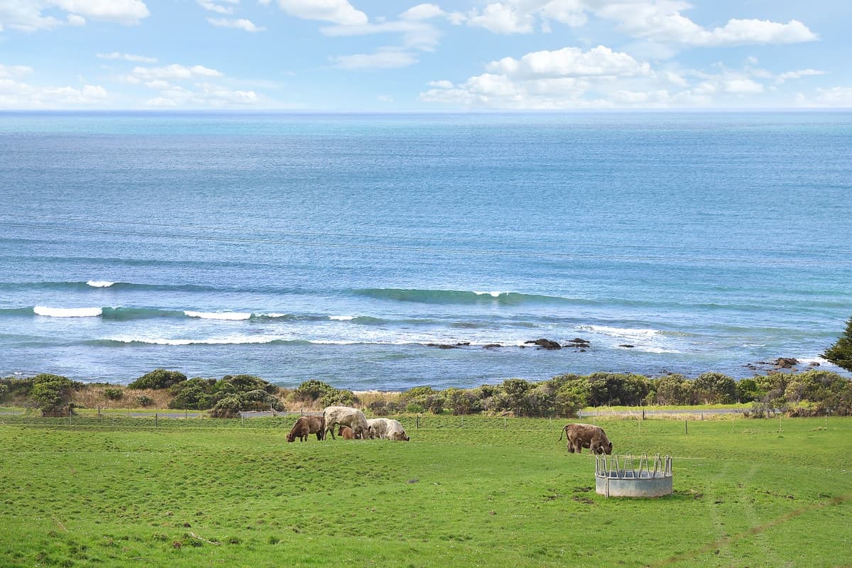 6090 Great Ocean Road, Apollo Bay, VIC, Apollo Bay - Thumbnail 2