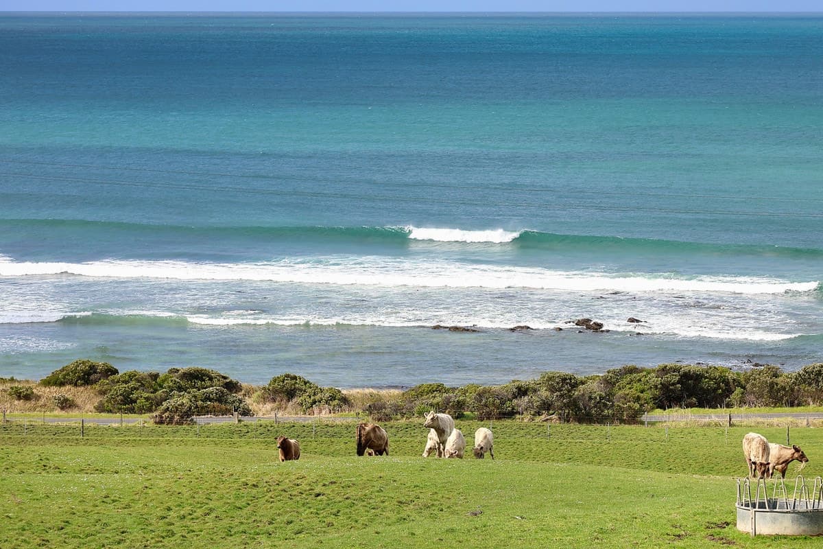6090 Great Ocean Road, Apollo Bay, VIC, Apollo Bay - Thumbnail 3