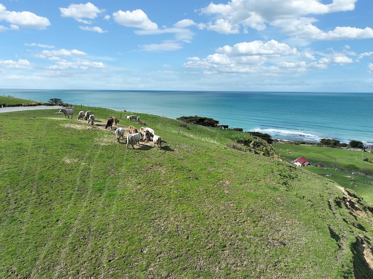 6090 Great Ocean Road, Apollo Bay, VIC, Apollo Bay - Thumbnail 6