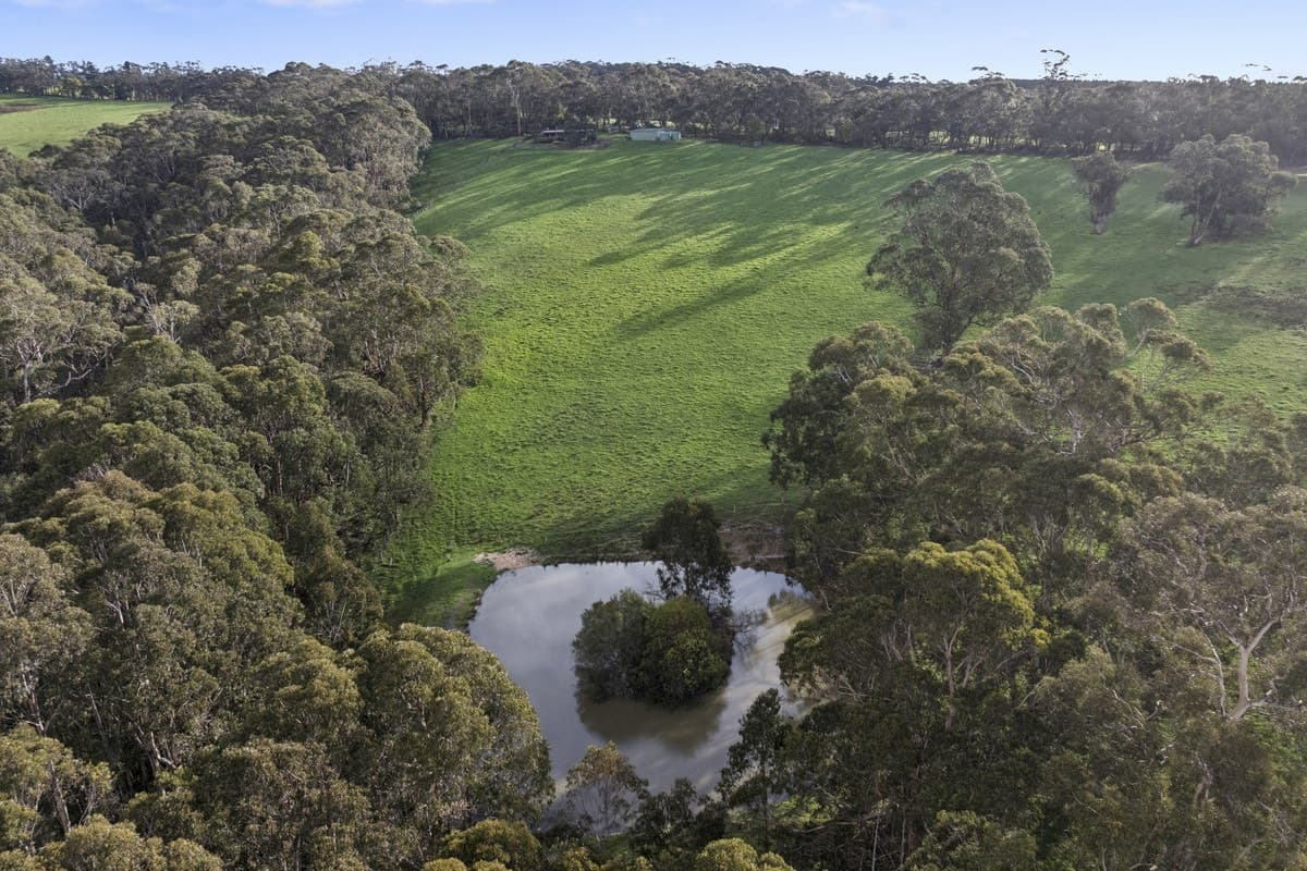 90 Jinda Park Lane, Bambra, VIC, Bambra - Thumbnail 3