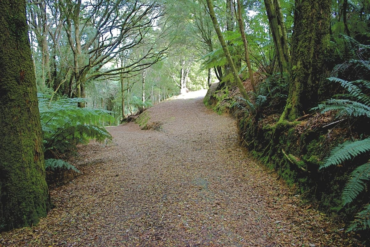 5073 Great Ocean Road, Lavers Hill, VIC, Lavers Hill - Thumbnail 2