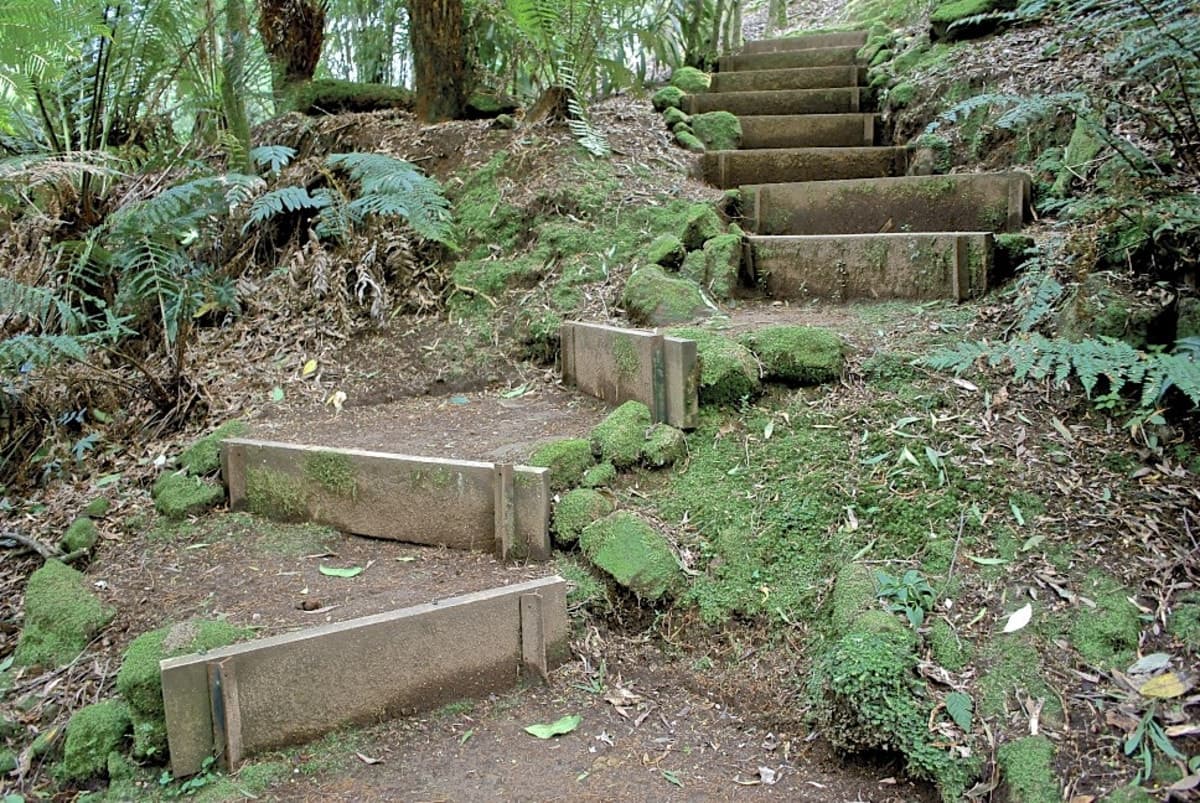 5073 Great Ocean Road, Lavers Hill, VIC, Lavers Hill - Thumbnail 4