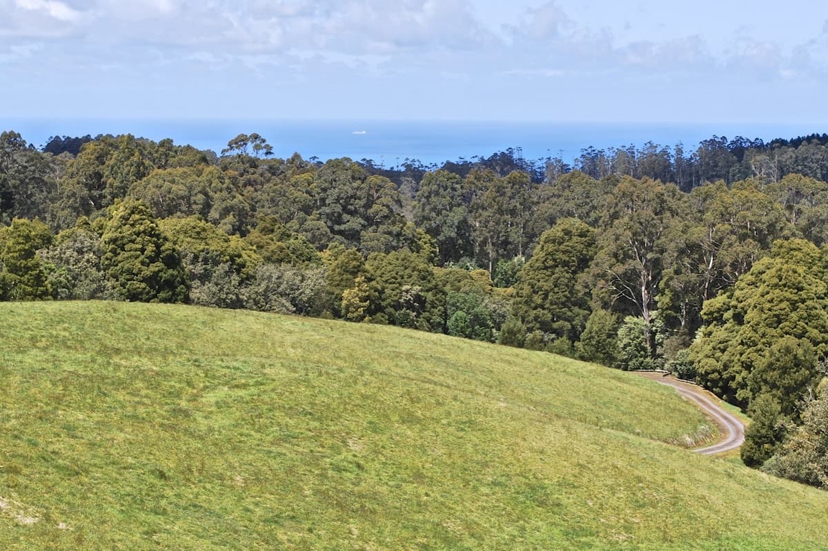 5073 Great Ocean Road, Lavers Hill, VIC, Lavers Hill - Thumbnail 7