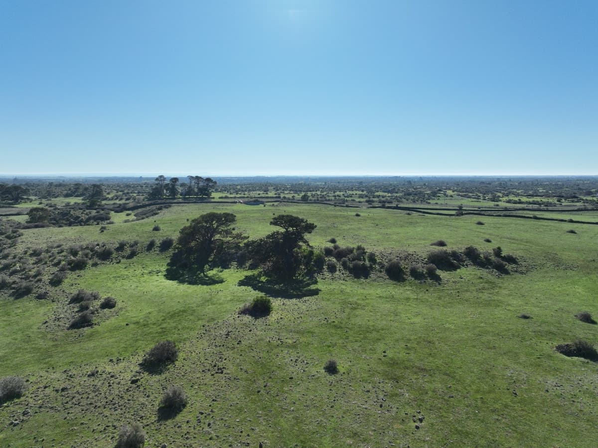 695 Beeac-Dreeite Road, Dreeite, VIC, Dreeite - Thumbnail 3