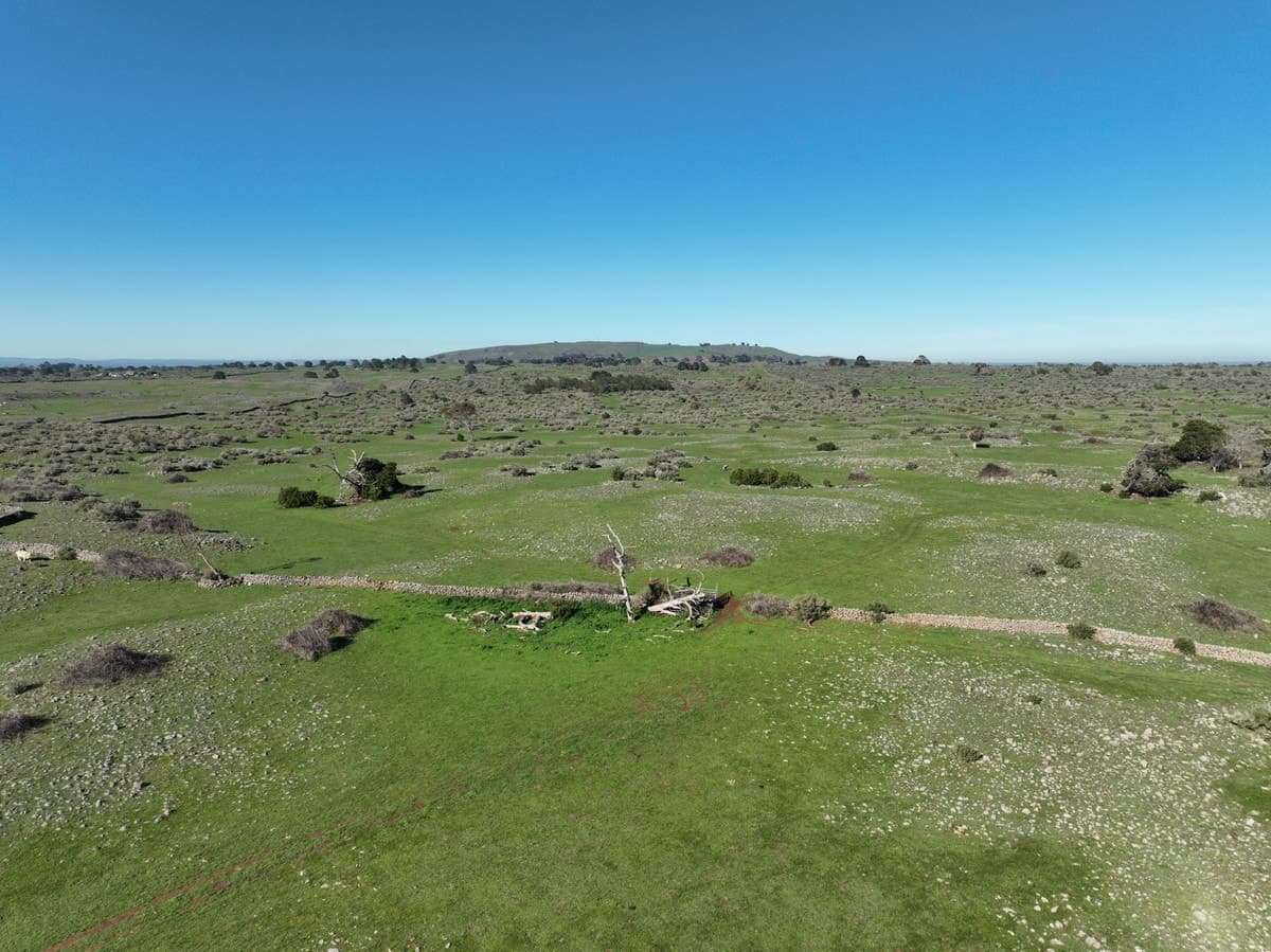 695 Beeac-Dreeite Road, Dreeite, VIC, Dreeite - Thumbnail 4