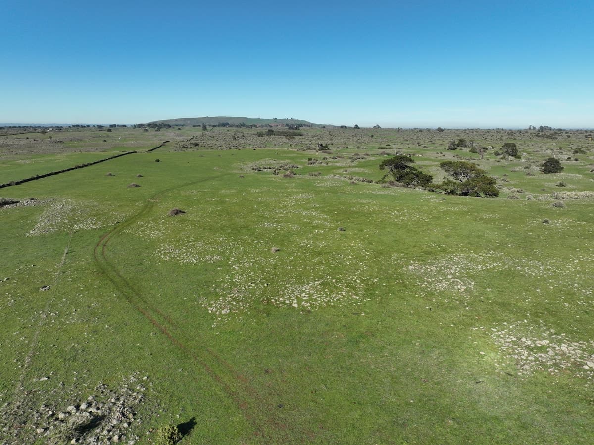695 Beeac-Dreeite Road, Dreeite, VIC, Dreeite - Thumbnail 5