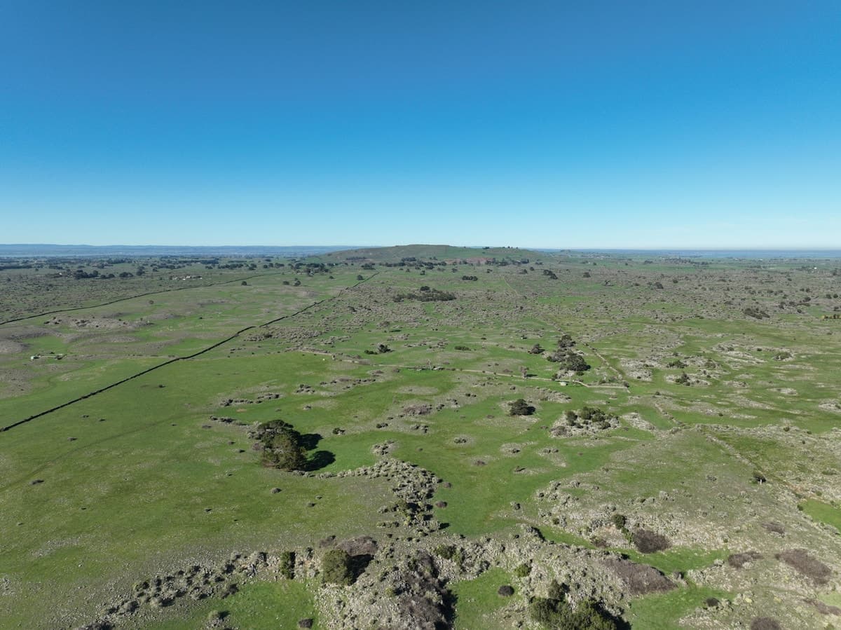 695 Beeac-Dreeite Road, Dreeite, VIC, Dreeite - Thumbnail 8