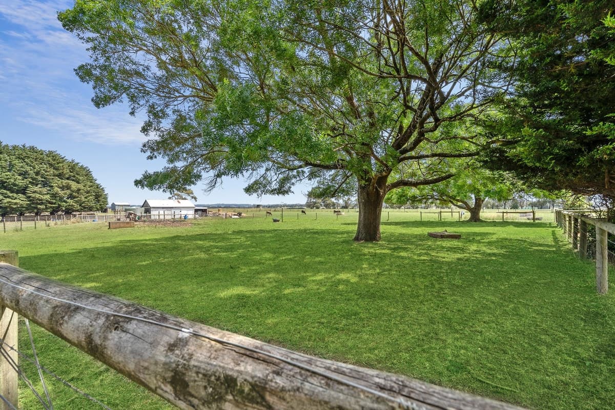 1075 Cobden - Stonyford Road, South Purrumbete, VIC, South Purrumbete - Thumbnail 5
