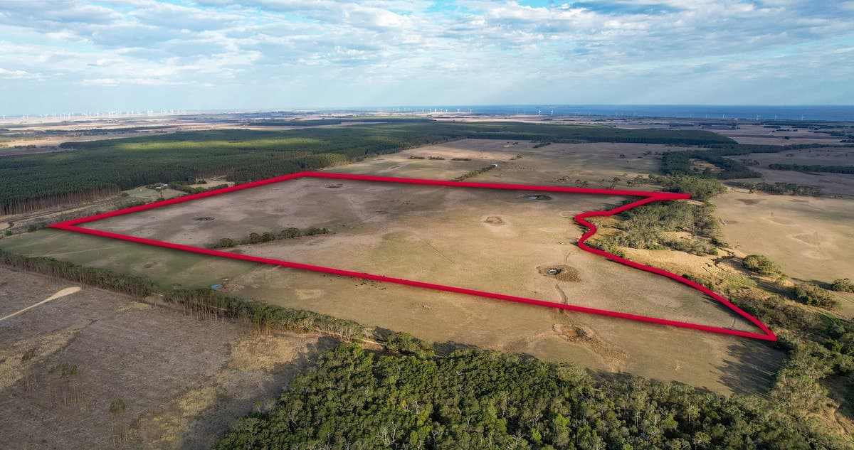 Codrington-Bessiebelle Road, Bessiebelle, VIC, Bessiebelle - Image 1