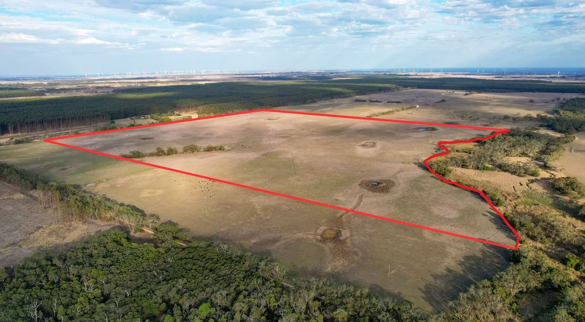 Codrington-Bessiebelle Road, Bessiebelle, VIC, Bessiebelle - Thumbnail 2