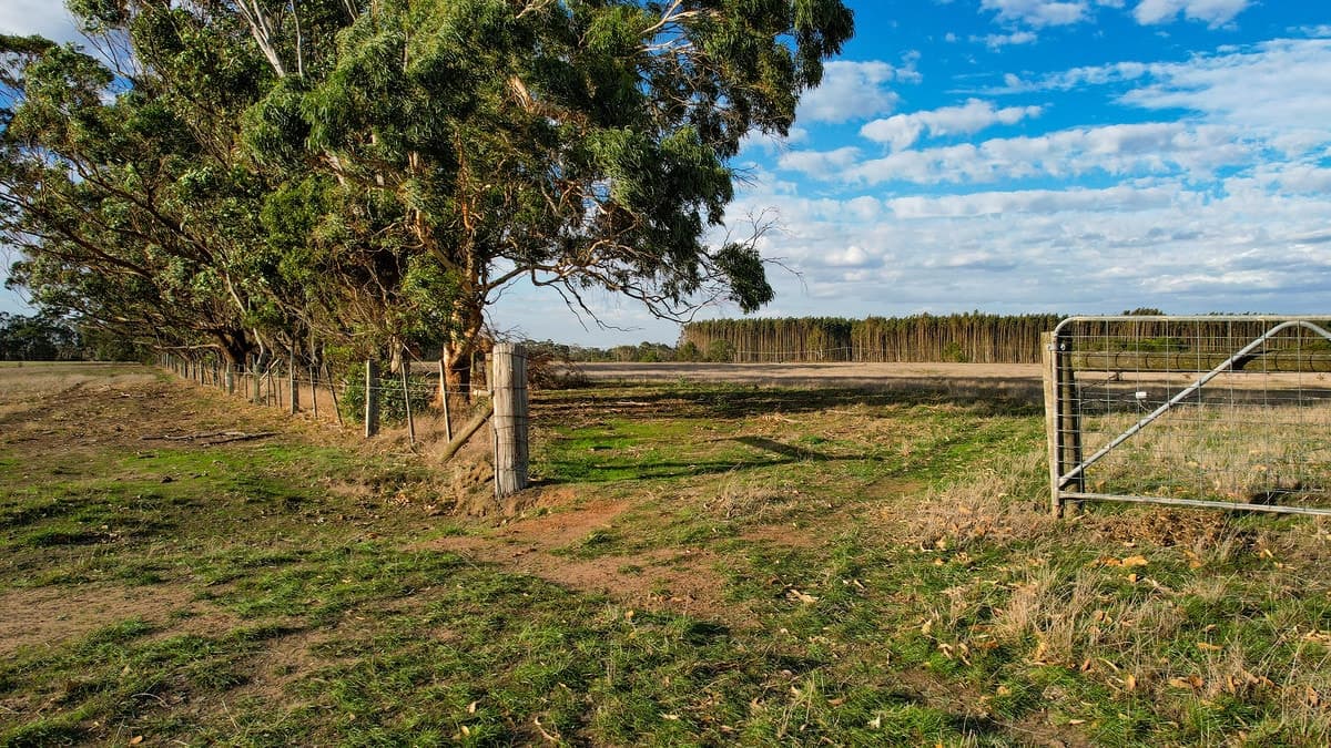 Codrington-Bessiebelle Road, Bessiebelle, VIC, Bessiebelle - Thumbnail 3