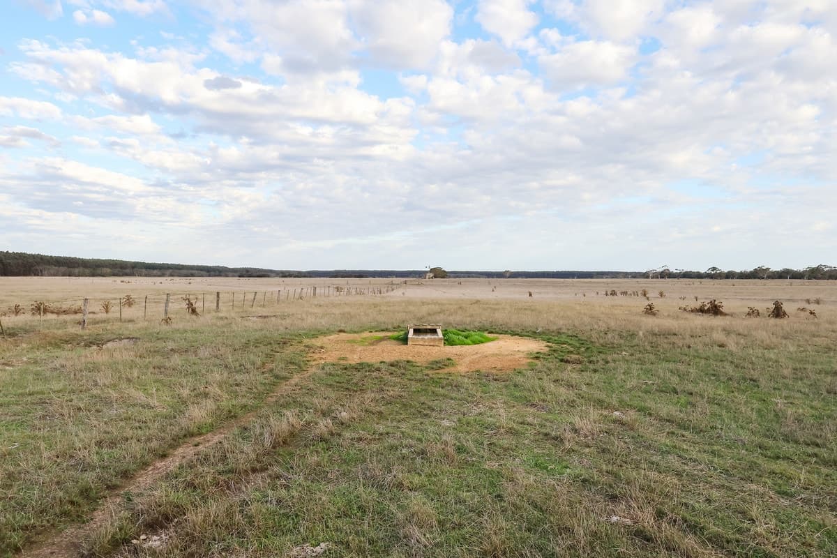 Codrington-Bessiebelle Road, Bessiebelle, VIC, Bessiebelle - Thumbnail 4