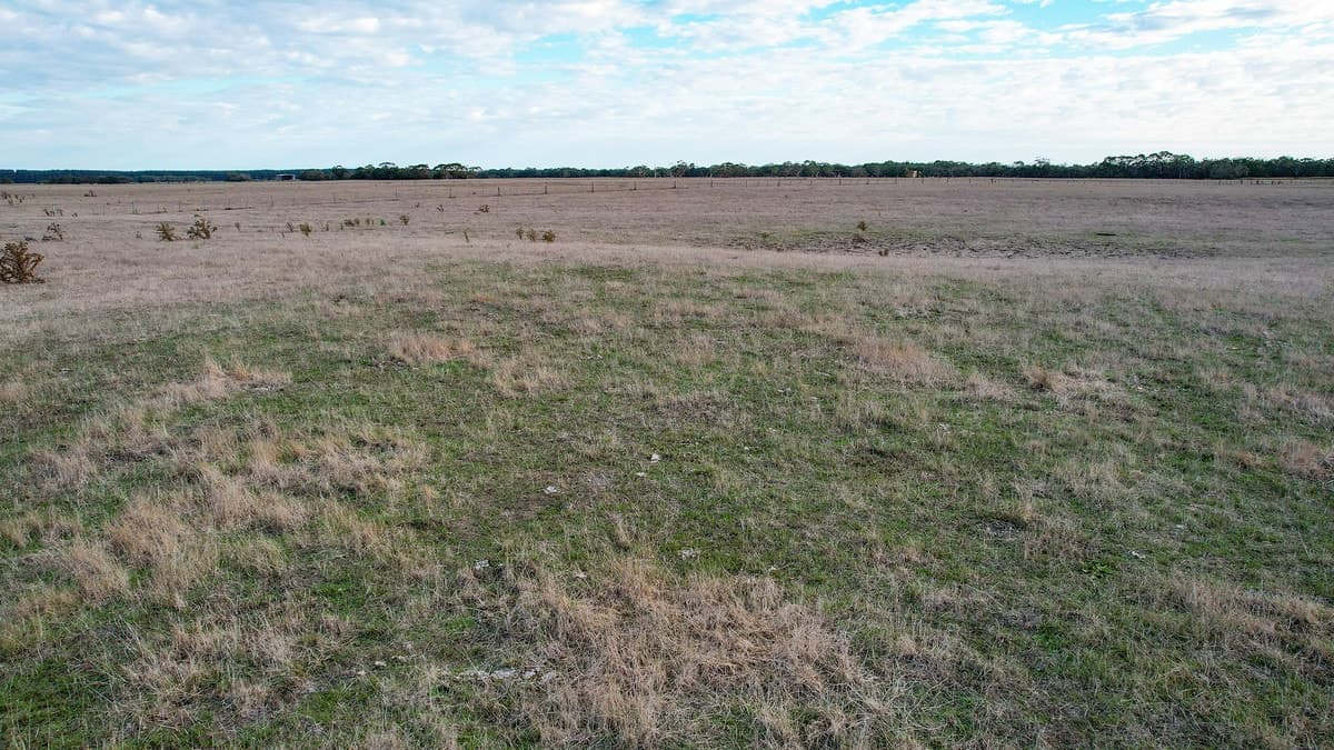 Codrington-Bessiebelle Road, Bessiebelle, VIC, Bessiebelle - Thumbnail 5