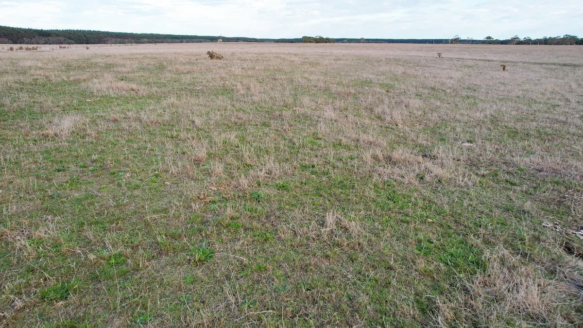 Codrington-Bessiebelle Road, Bessiebelle, VIC, Bessiebelle - Thumbnail 8
