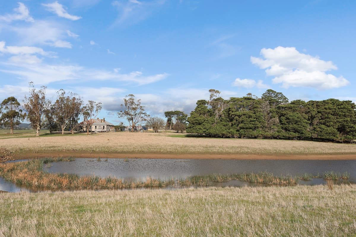 535 Birregurra-Deans Marsh Road, Birregurra, VIC, Birregurra - Thumbnail 3