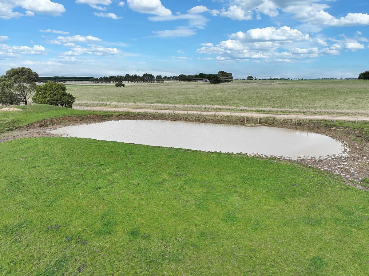 115 Collyers Road, Warncoort, VIC, Warncoort - Thumbnail 2