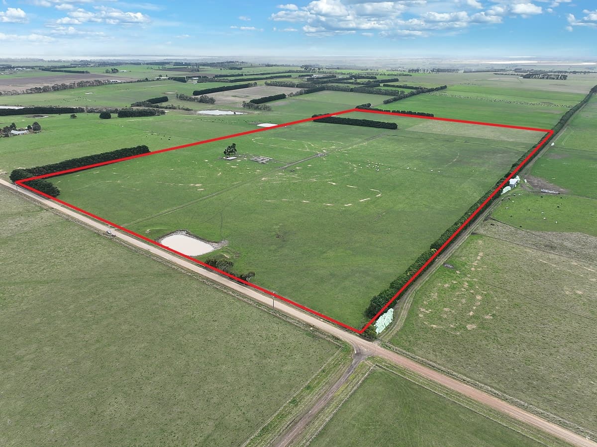 115 Collyers Road, Warncoort, VIC, Warncoort - Thumbnail 3