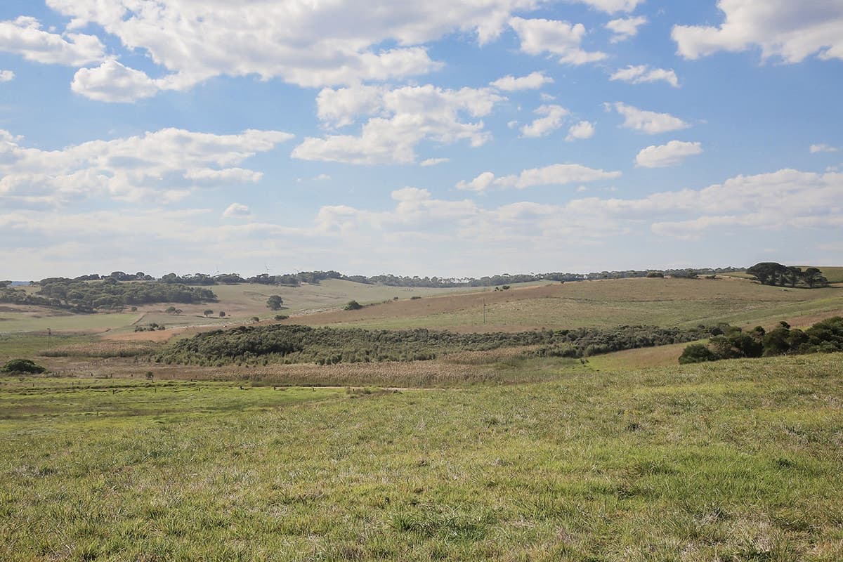 1208 Old Ocean Road, Princetown, VIC, Princetown - Thumbnail 4
