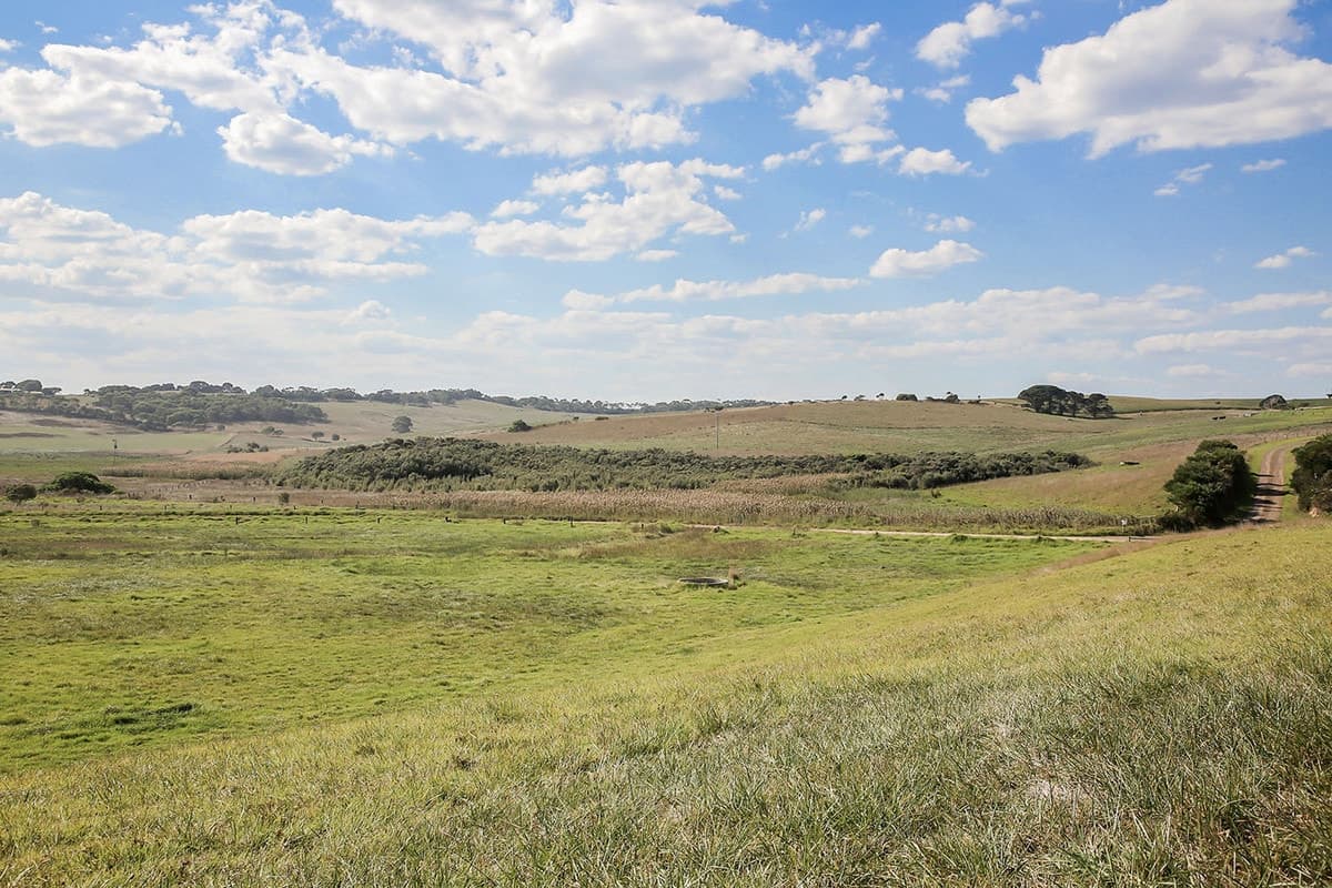 1208 Old Ocean Road, Princetown, VIC, Princetown - Thumbnail 5