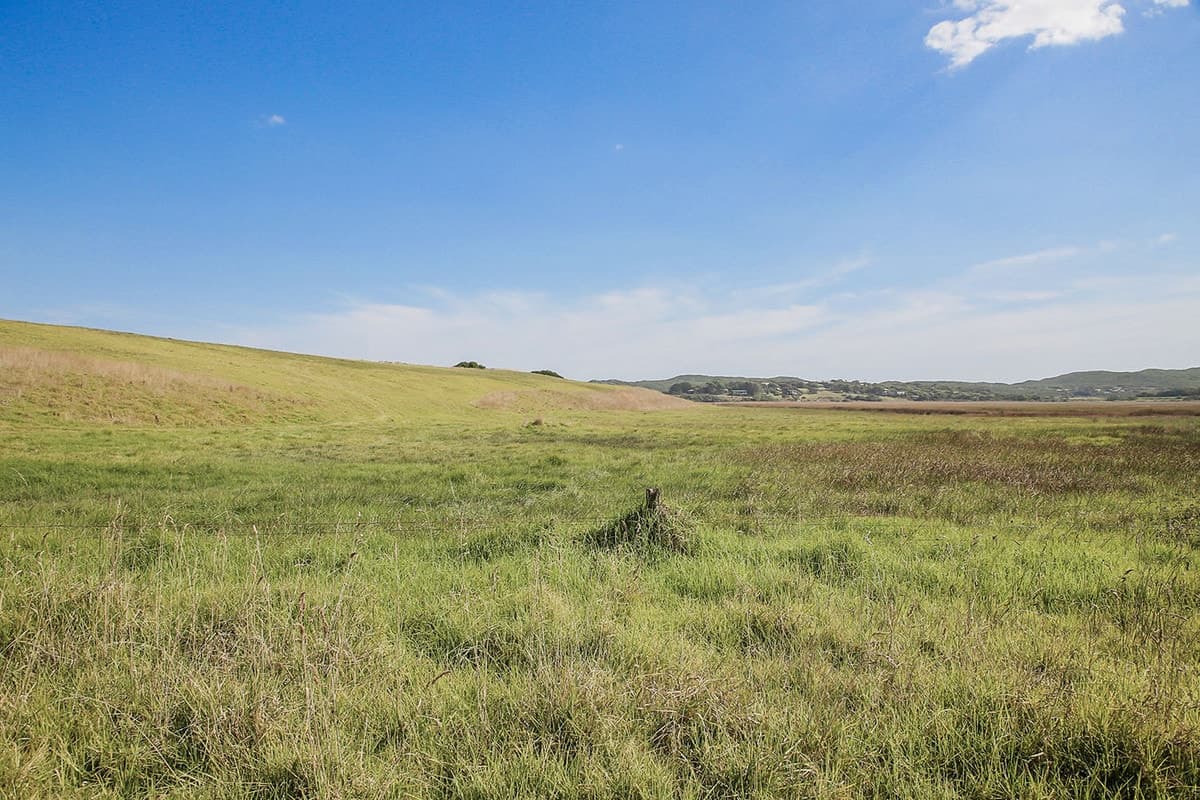 1208 Old Ocean Road, Princetown, VIC, Princetown - Thumbnail 6