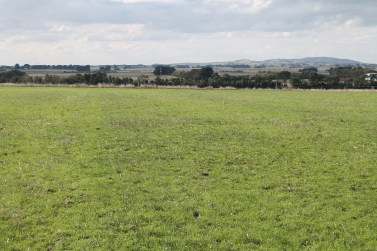 1105 Princes Highway, Larpent, VIC, Larpent - Image 1