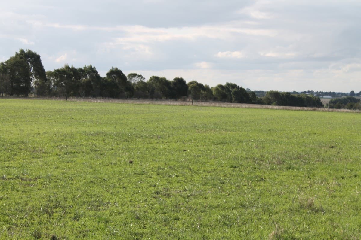 1105 Princes Highway, Larpent, VIC, Larpent - Thumbnail 3