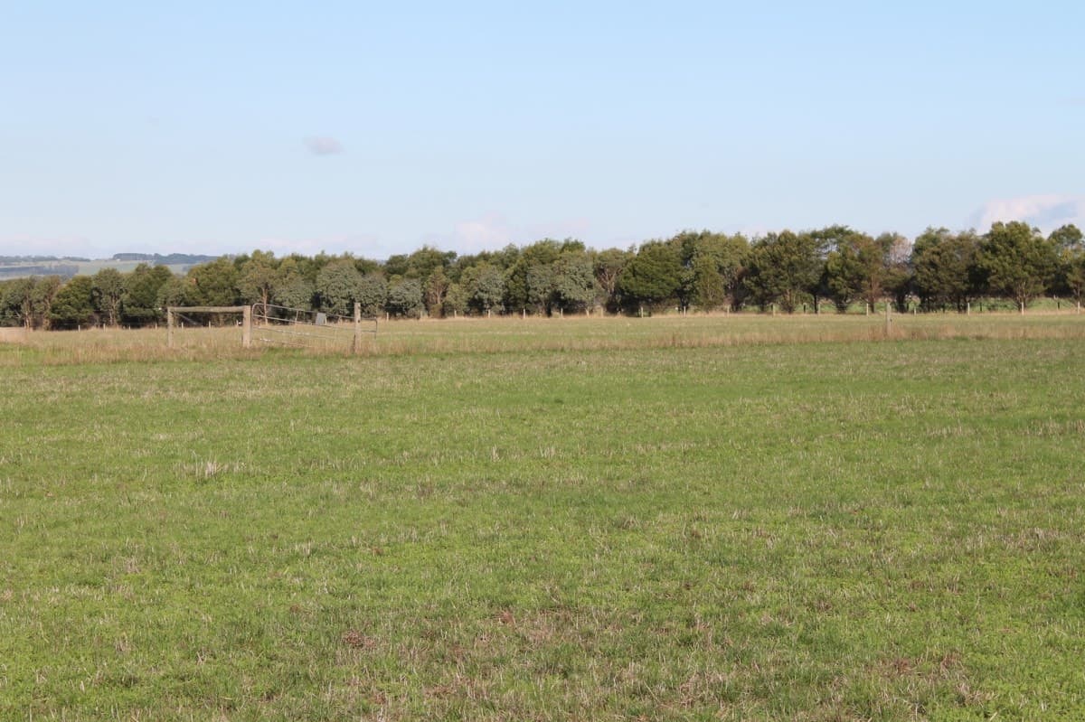 1105 Princes Highway, Larpent, VIC, Larpent - Thumbnail 5