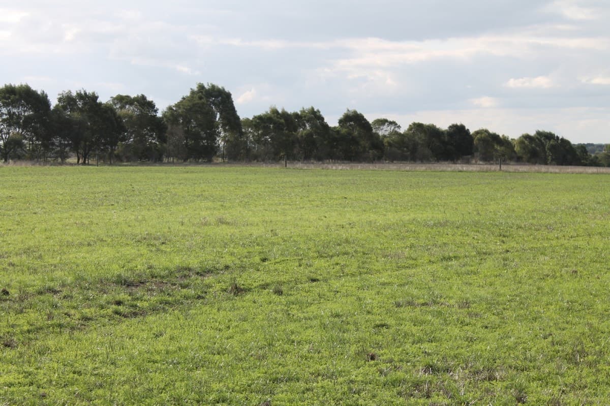 1105 Princes Highway, Larpent, VIC, Larpent - Thumbnail 6
