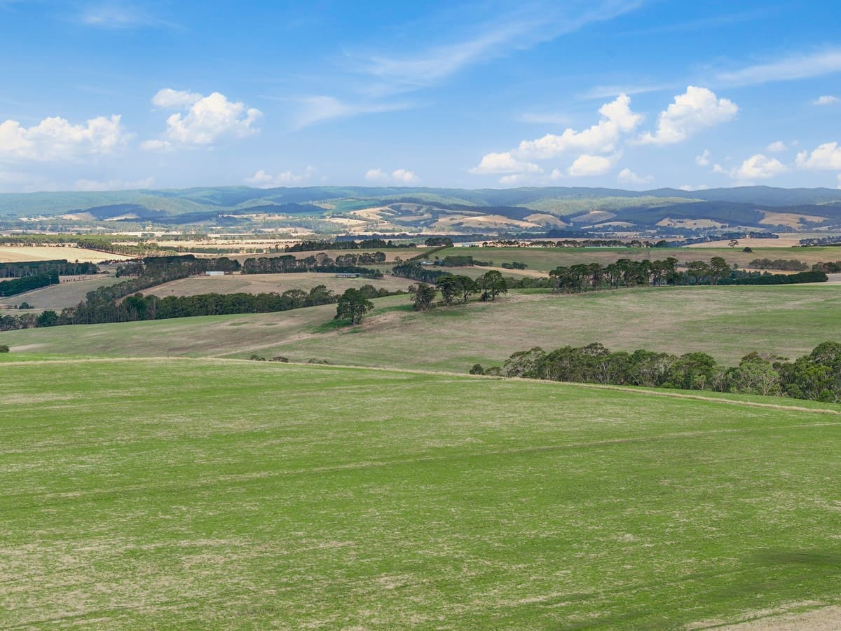 550 Colac-Lorne Road, Yeodene, VIC, Yeodene - Thumbnail 4