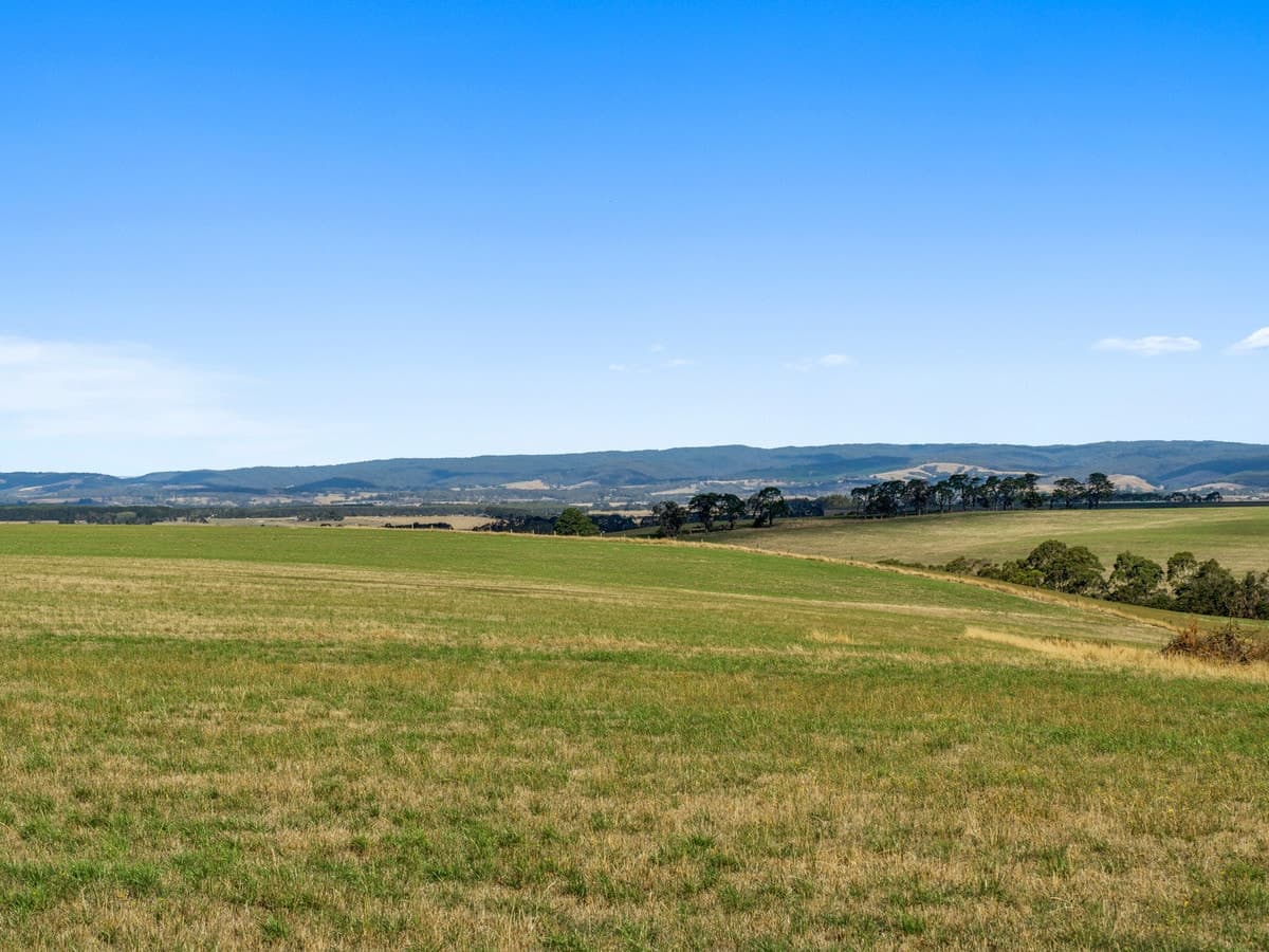 550 Colac-Lorne Road, Yeodene, VIC, Yeodene - Thumbnail 7