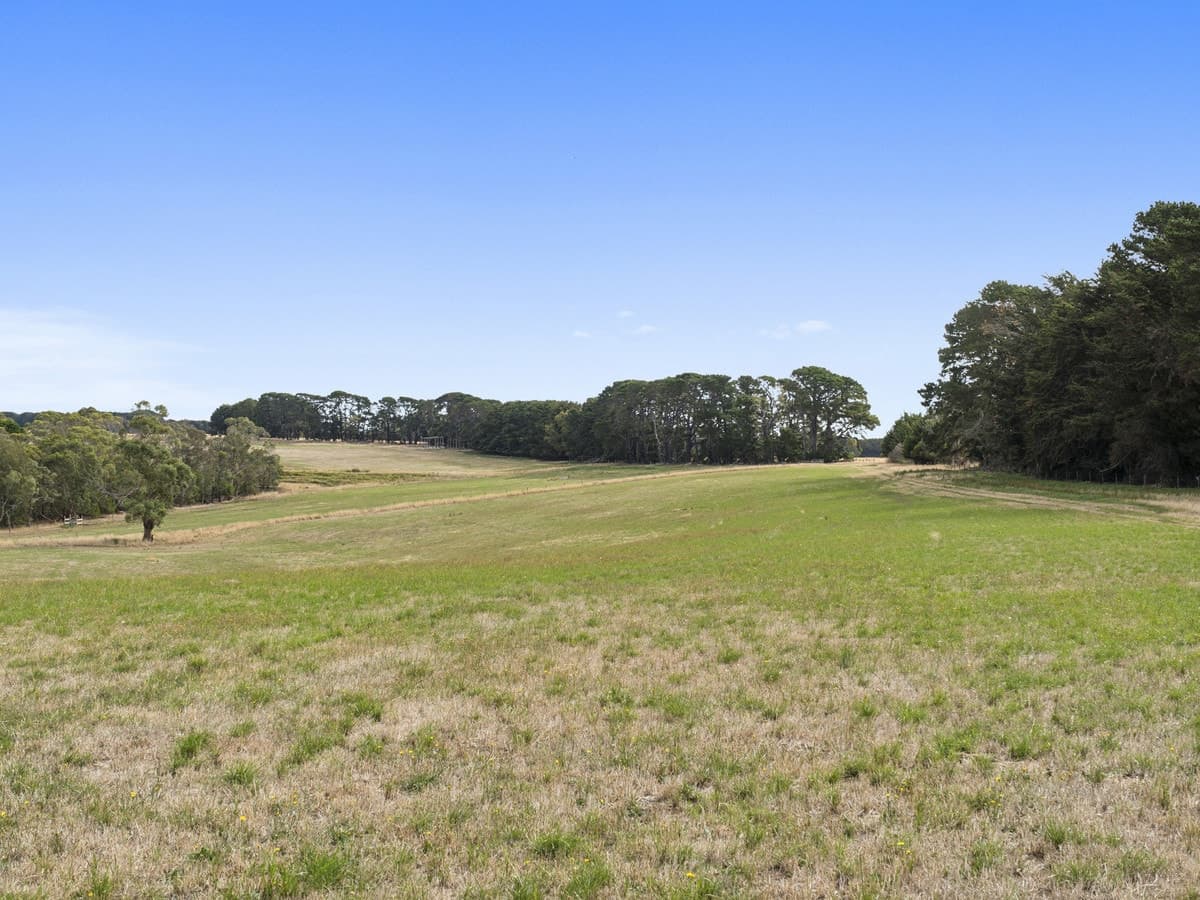 550 Colac-Lorne Road, Yeodene, VIC, Yeodene - Thumbnail 8