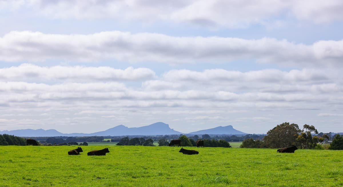 521 Mill Road, Strathkellar, VIC, Strathkellar - Thumbnail 4