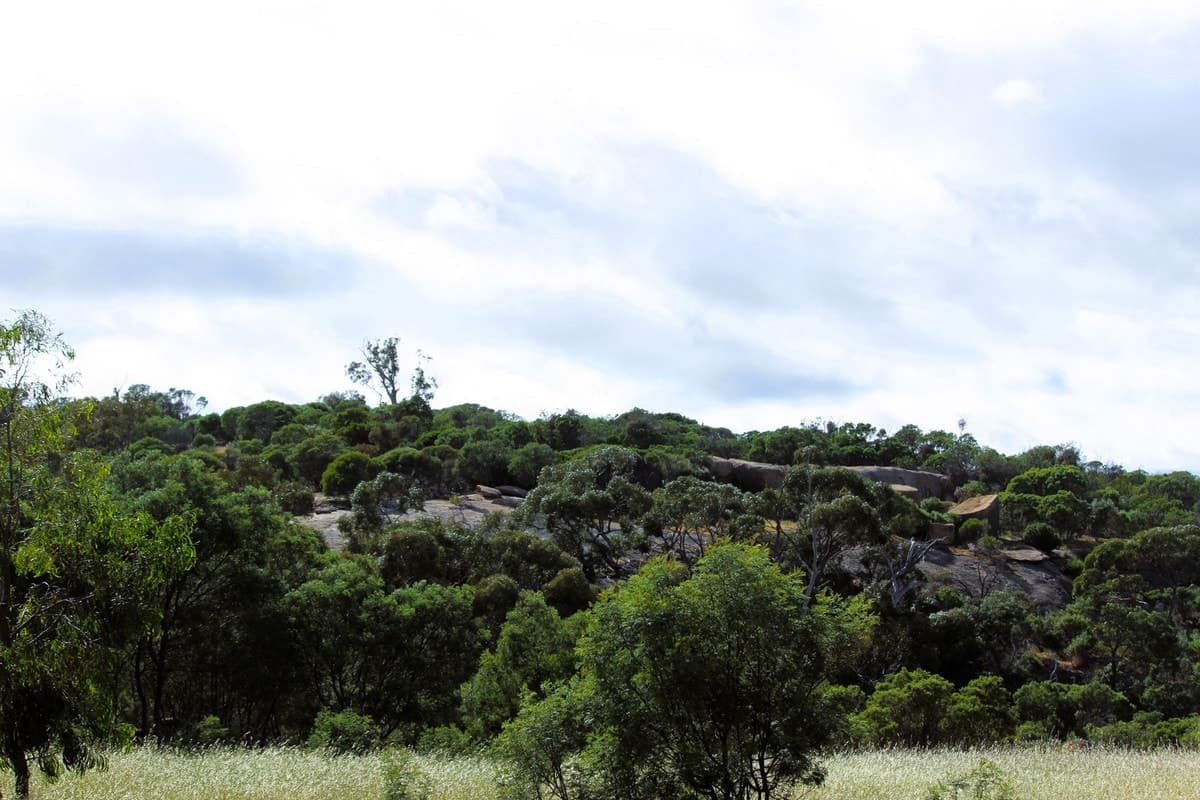 5 Wedderburn Serpentine Road, Glenalbyn, VIC, Glenalbyn - Thumbnail 2