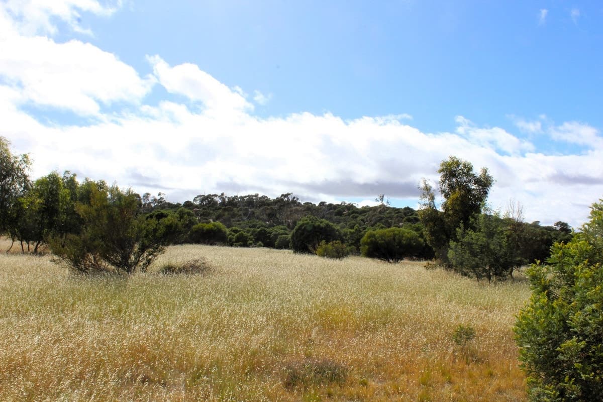 5 Wedderburn Serpentine Road, Glenalbyn, VIC, Glenalbyn - Thumbnail 4