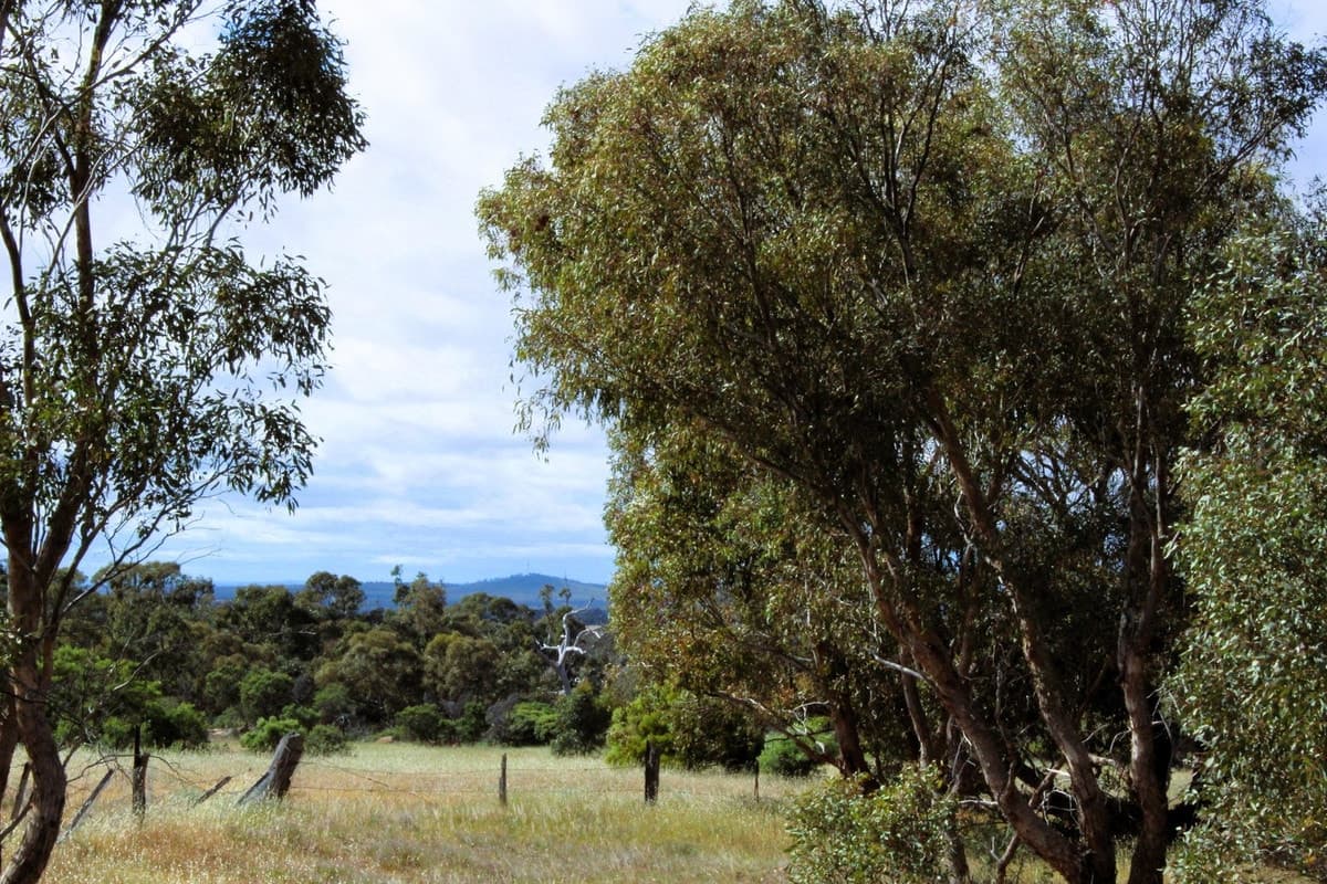 5 Wedderburn Serpentine Road, Glenalbyn, VIC, Glenalbyn - Thumbnail 6